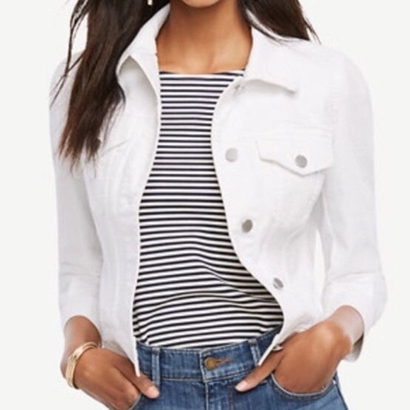 champion jacket gray